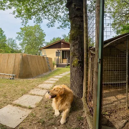 Faiello Dei Sentieri, Piscina & Pet Paradise Molare