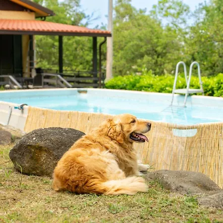 Faiello Dei Sentieri, Piscina & Pet Paradise Villa Molare